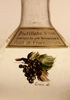 Distillato d'Uva Pinot di Franciacorta