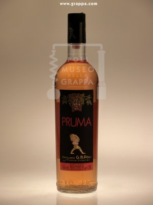 Pruma - Liquore