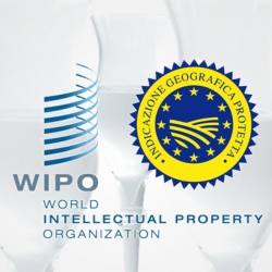 IG Grappa and Lisbon agreement by WIPO