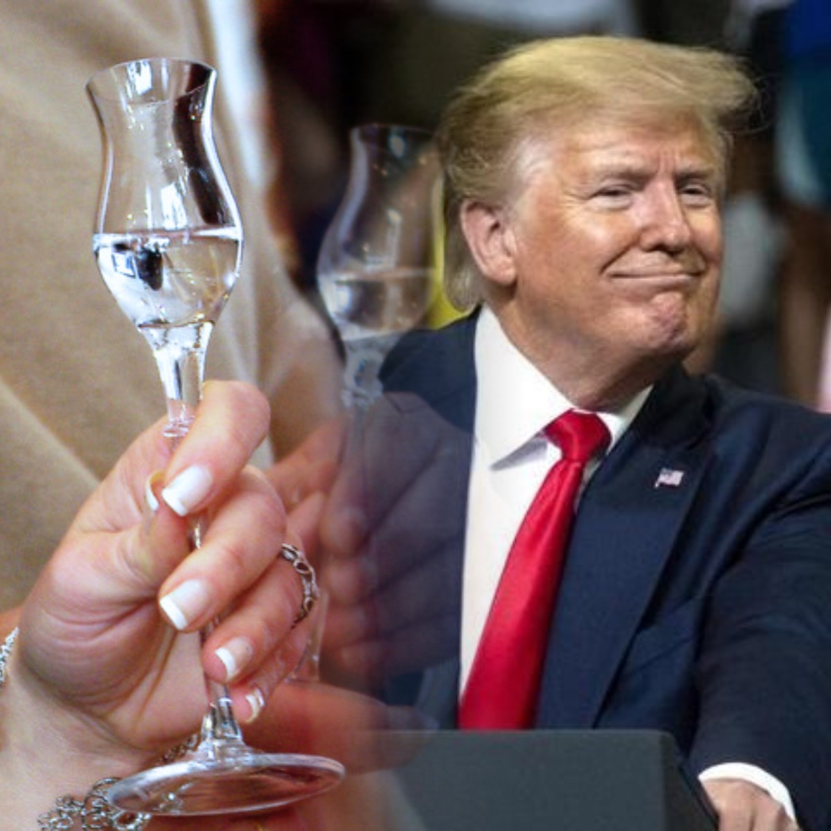 Dazi USA: Trump “salva” Grappa e distillati 