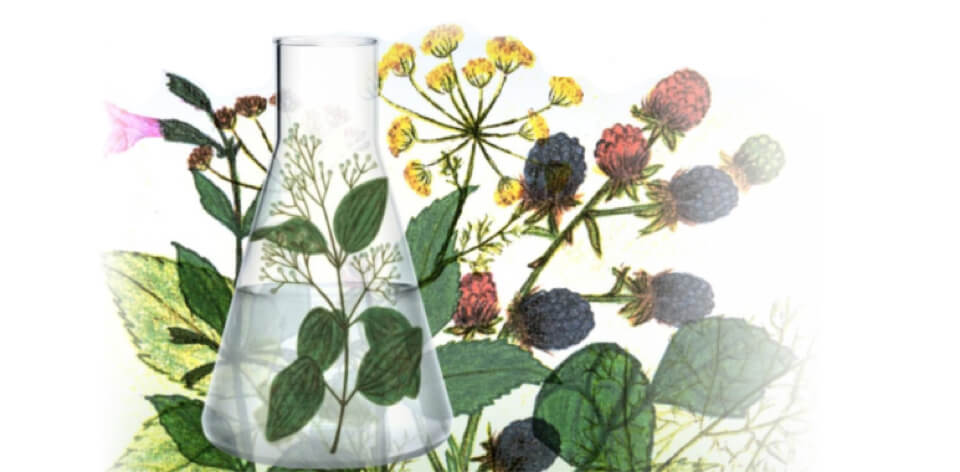 grappe-aromatizzate